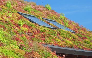 Beacons Bottom living roof systems